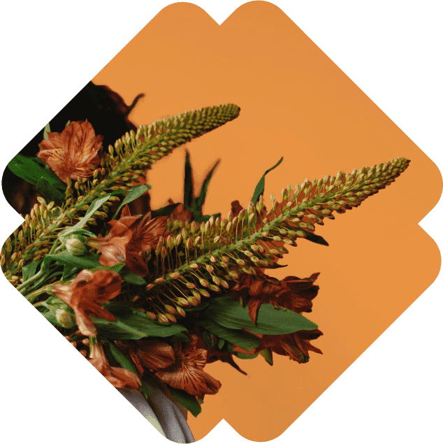 delivery-of-bulk-wholesale-flowers-in-uae-dubai-flower-supplier