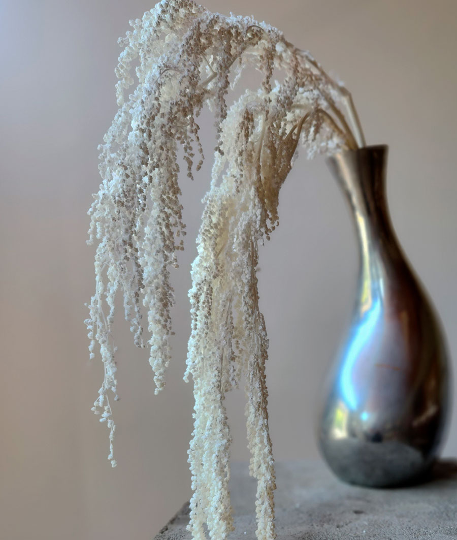 Wholesale Flowers Catalog Bulk Floral Supplies