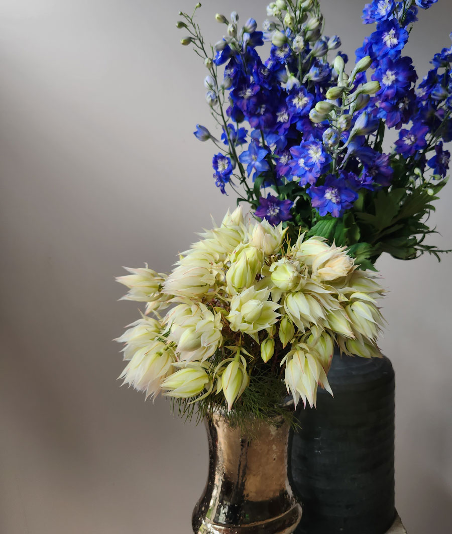 Wholesale Flowers Catalog Bulk Floral Supplies