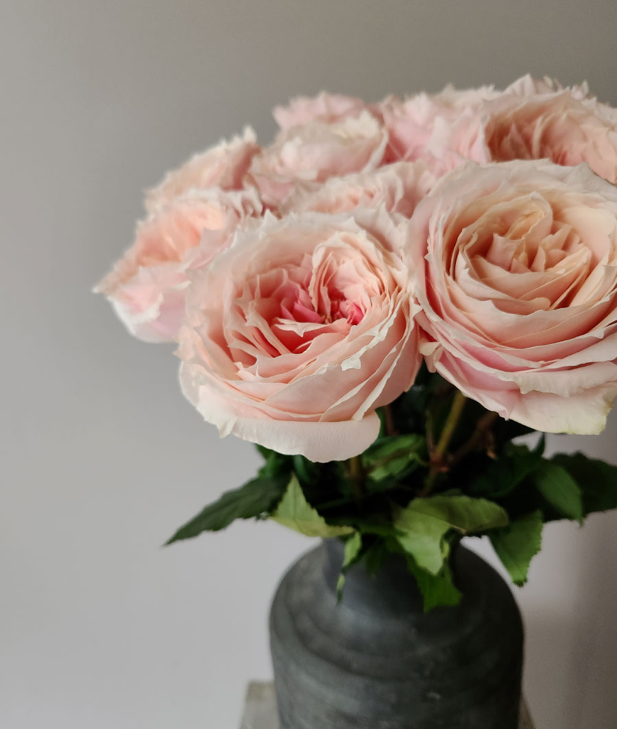 Wholesale Flowers Catalog Bulk Floral Supplies